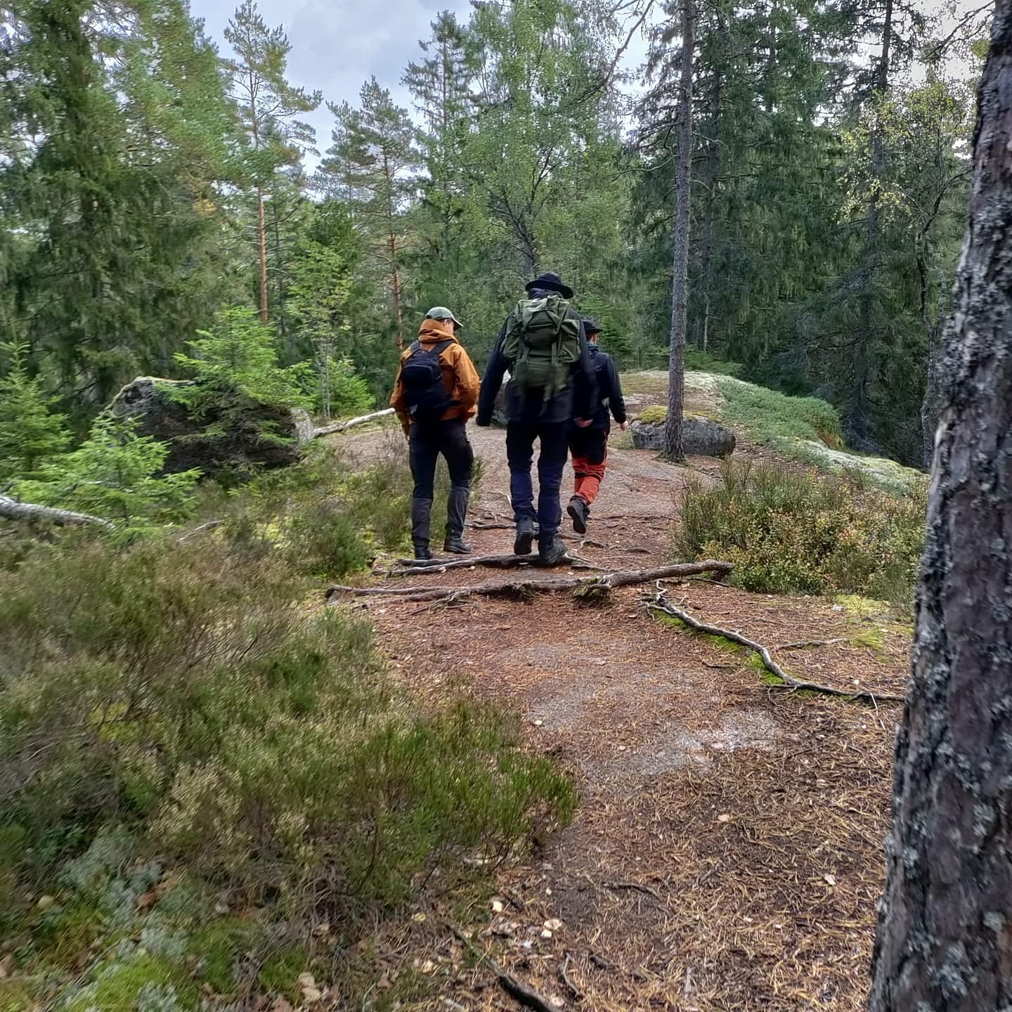 Tivedens nationalpark - sönerna